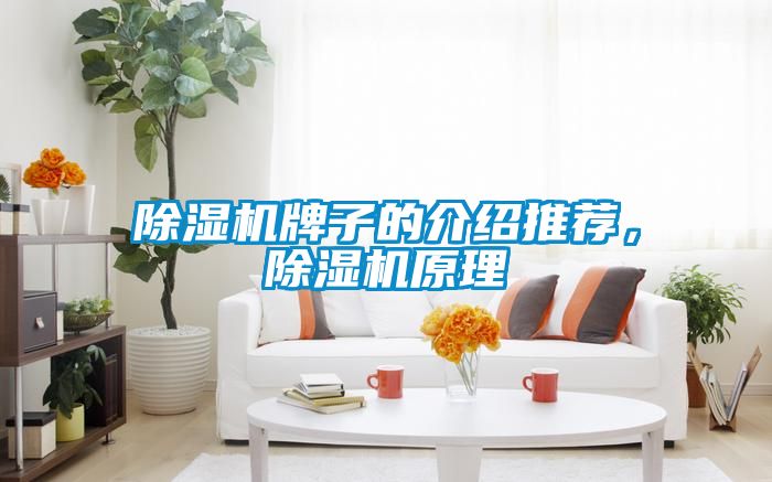 91抖音免费看片牌子的介绍推荐，91抖音免费看片原理