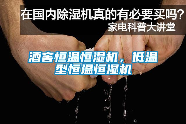 酒窖恒温恒湿机，低温型恒温恒湿机