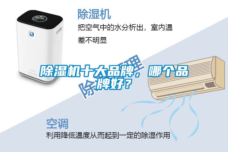91抖音免费看片十大品牌，哪个品牌好？
