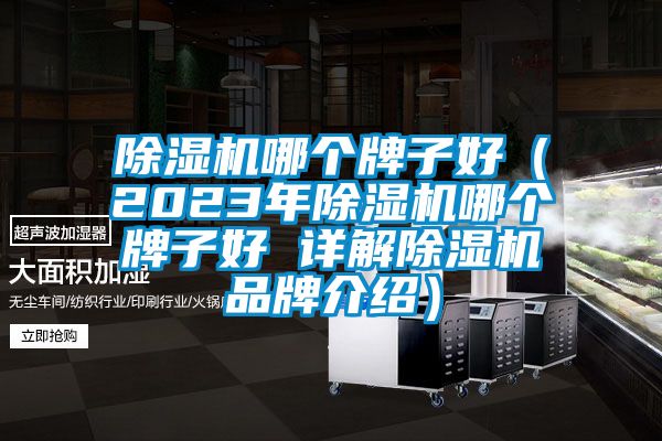 91抖音免费看片哪个牌子好（2023年91抖音免费看片哪个牌子好 详解91抖音免费看片品牌介绍）