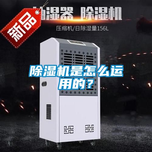 91抖音免费看片是怎么运用的？