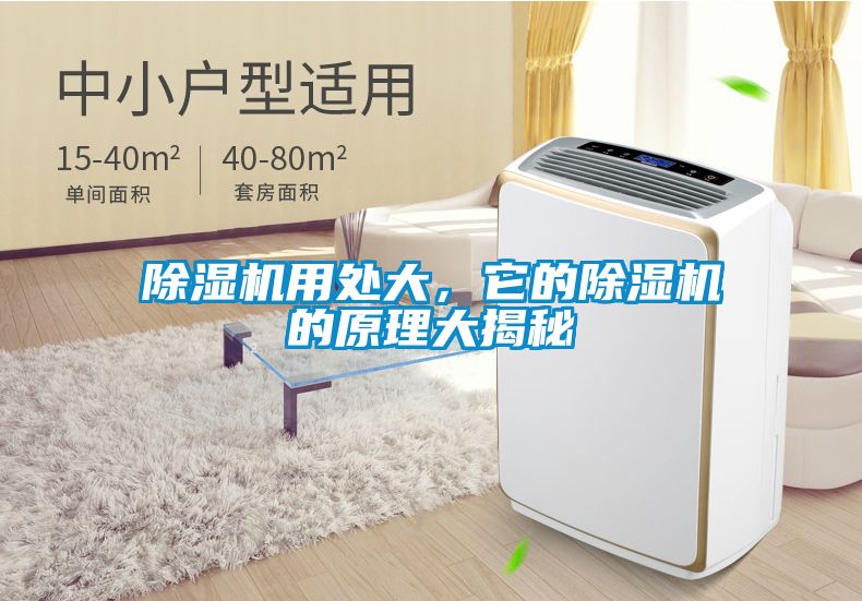 91抖音免费看片用处大，它的91抖音免费看片的原理大揭秘