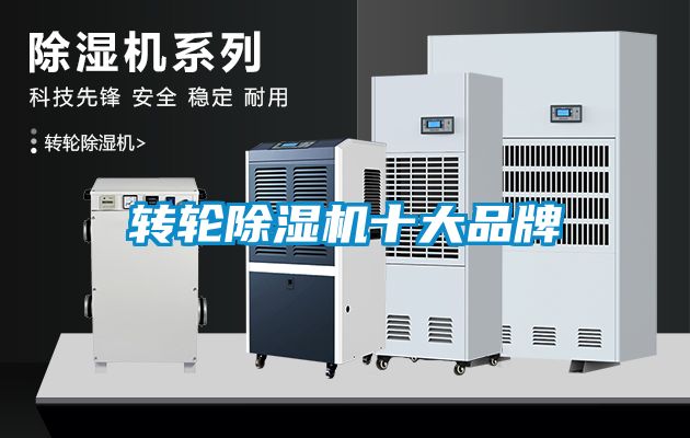 转轮91抖音免费看片十大品牌