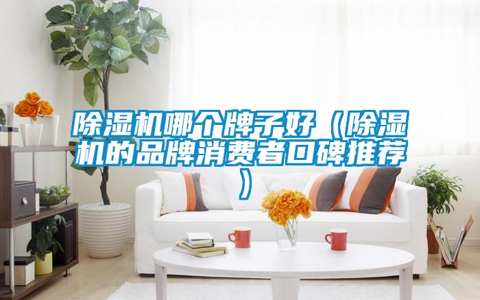 91抖音免费看片哪个牌子好（91抖音免费看片的品牌消费者口碑推荐）