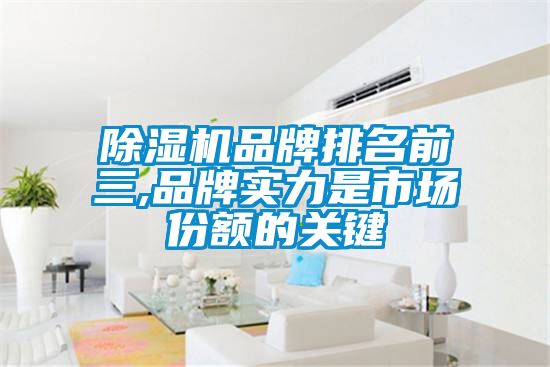 91抖音免费看片品牌排名前三,品牌实力是市场份额的关键
