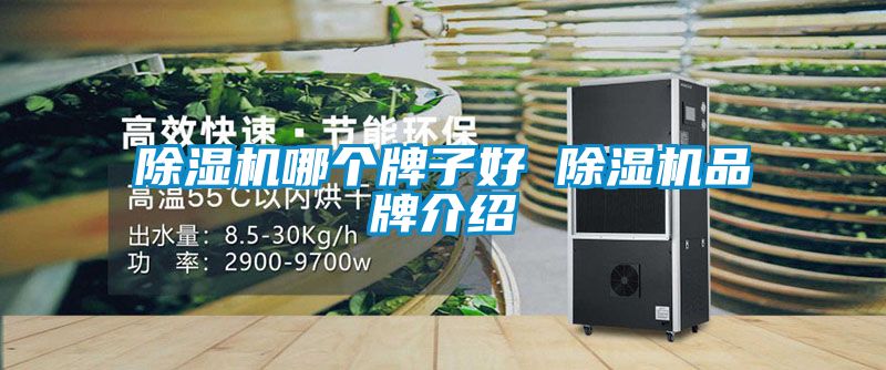 91抖音免费看片哪个牌子好 91抖音免费看片品牌介绍