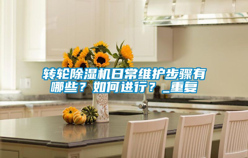 转轮91抖音免费看片日常维护步骤有哪些？如何进行？_重复