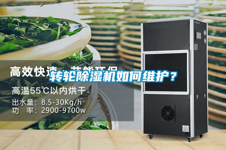 转轮91抖音免费看片如何维护？