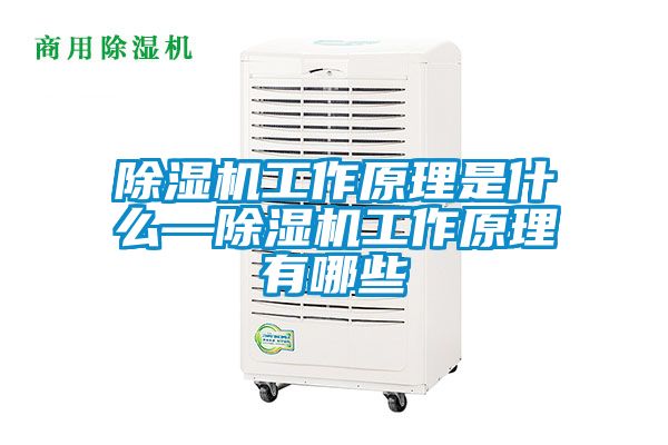91抖音免费看片工作原理是什么—91抖音免费看片工作原理有哪些