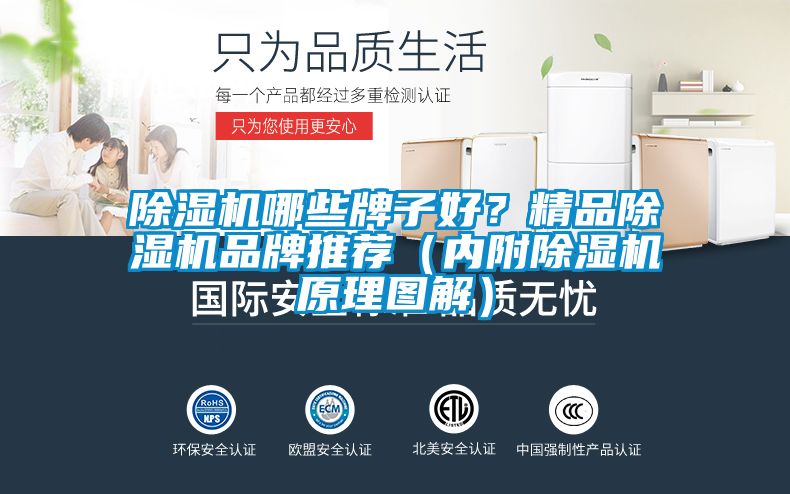 91抖音免费看片哪些牌子好？精品91抖音免费看片品牌推荐（内附91抖音免费看片原理图解）