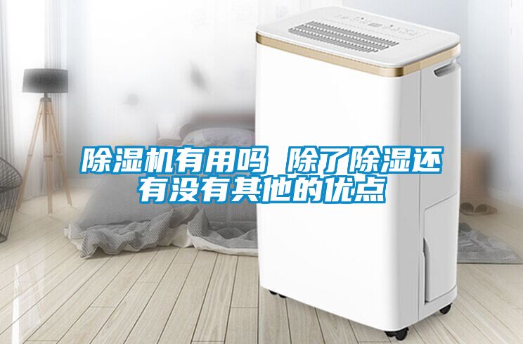 91抖音免费看片有用吗 除了除湿还有没有其他的优点