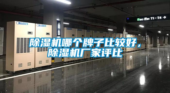 91抖音免费看片哪个牌子比较好，91抖音免费看片厂家评比