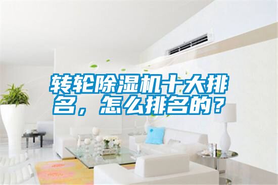 转轮91抖音免费看片十大排名，怎么排名的？