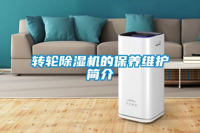 转轮91抖音免费看片的保养维护简介