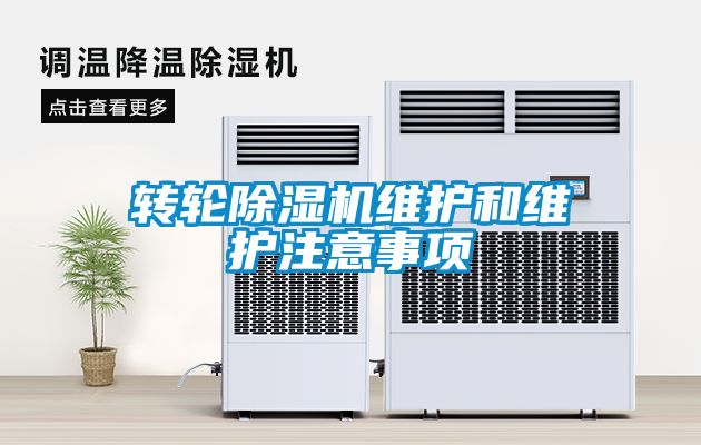 转轮91抖音免费看片维护和维护注意事项