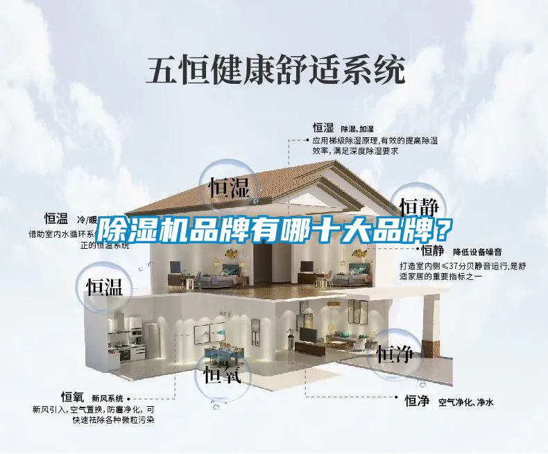 91抖音免费看片品牌有哪十大品牌？