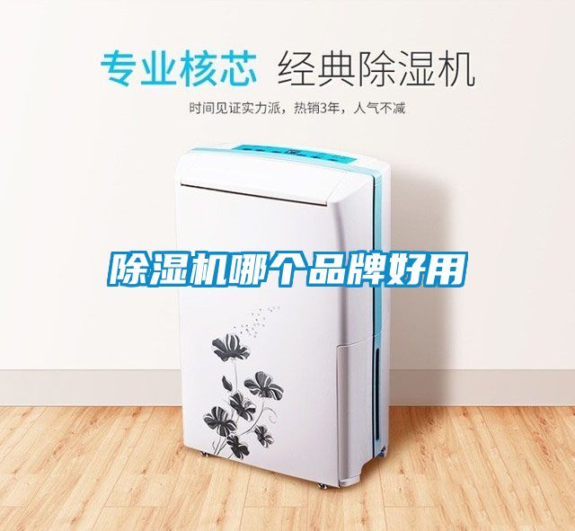 91抖音免费看片哪个品牌好用