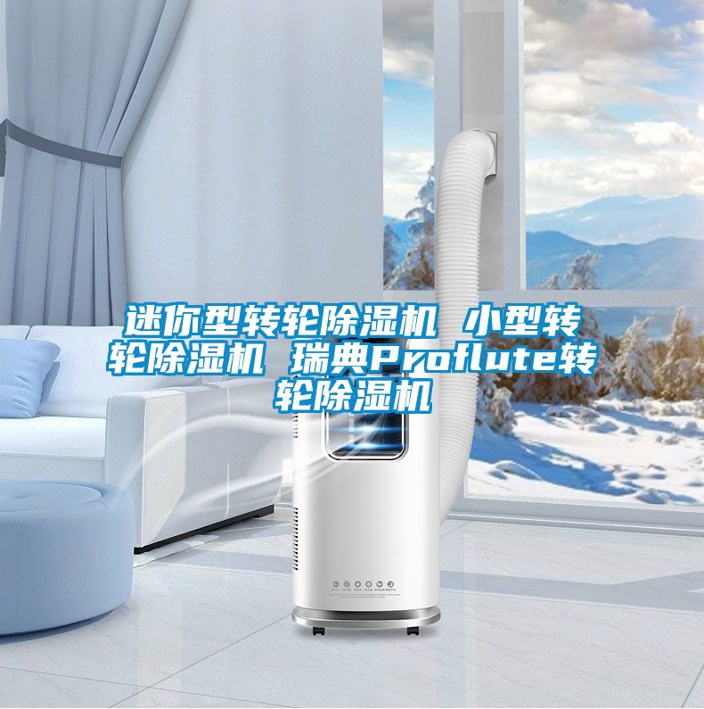 迷你型转轮91抖音免费看片 小型转轮91抖音免费看片 瑞典Proflute转轮91抖音免费看片
