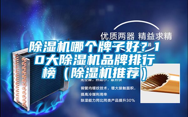 91抖音免费看片哪个牌子好？10大91抖音免费看片品牌排行榜（91抖音免费看片推荐）