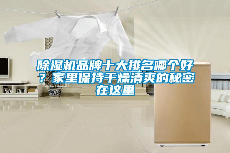 91抖音免费看片品牌十大排名哪个好？家里保持干燥清爽的秘密在这里