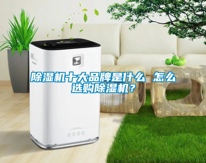 91抖音免费看片十大品牌是什么 怎么选购91抖音免费看片？