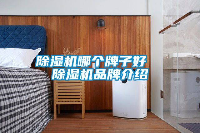 91抖音免费看片哪个牌子好  91抖音免费看片品牌介绍