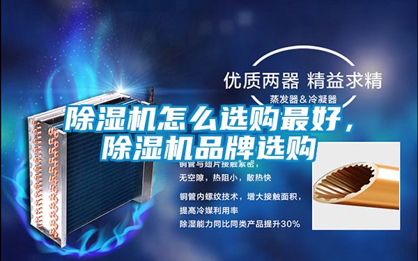 91抖音免费看片怎么选购最好，91抖音免费看片品牌选购