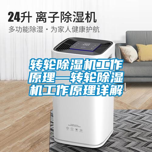 转轮91抖音免费看片工作原理—转轮91抖音免费看片工作原理详解