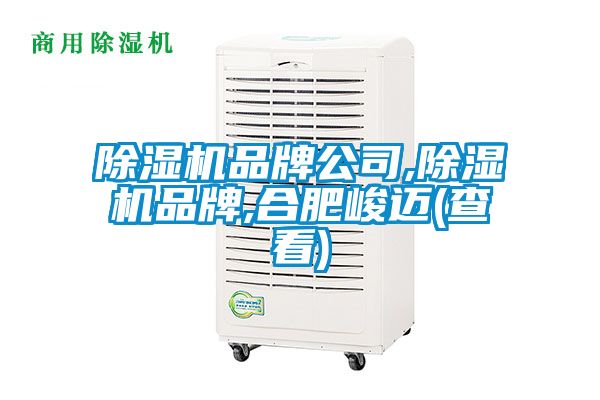 91抖音免费看片品牌公司,91抖音免费看片品牌,合肥峻迈(查看)