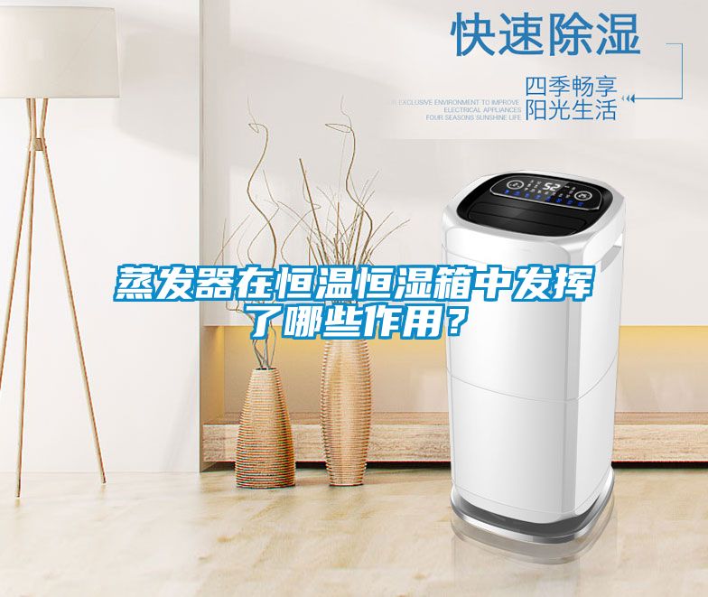 蒸发器在恒温恒湿箱中发挥了哪些作用？