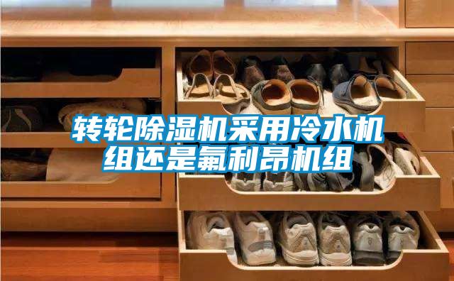 转轮91抖音免费看片采用冷水机组还是氟利昂机组