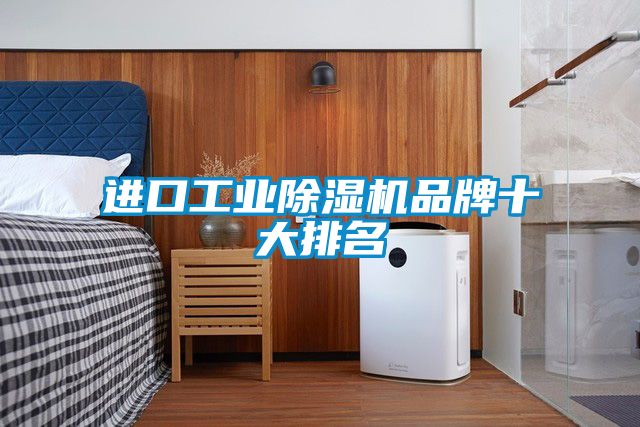 进口工业91抖音免费看片品牌十大排名