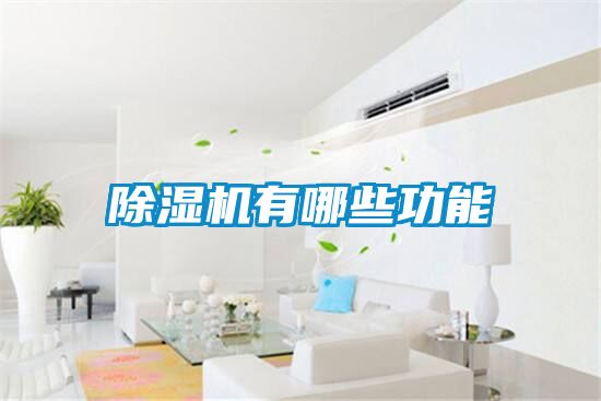91抖音免费看片有哪些功能