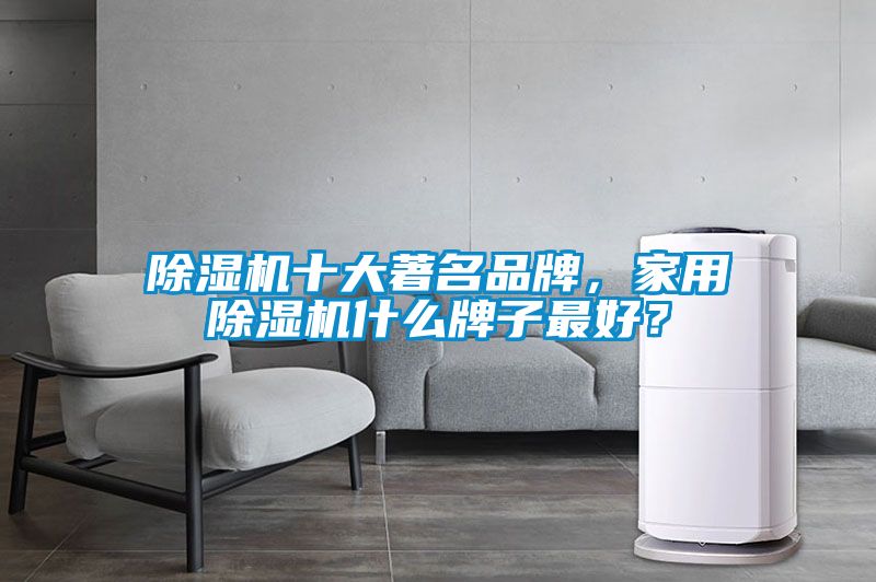 91抖音免费看片十大著名品牌，家用91抖音免费看片什么牌子最好？