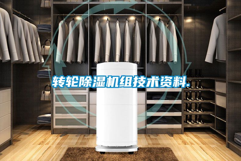 转轮91抖音免费看片组技术资料.