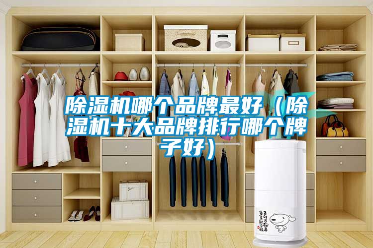 91抖音免费看片哪个品牌最好（91抖音免费看片十大品牌排行哪个牌子好）
