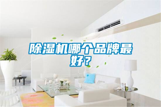 91抖音免费看片哪个品牌最好？
