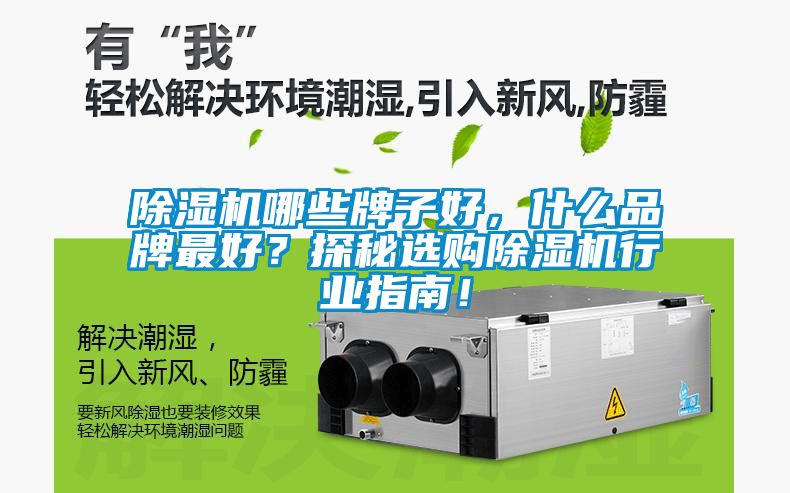 91抖音免费看片哪些牌子好，什么品牌最好？探秘选购91抖音免费看片行业指南！