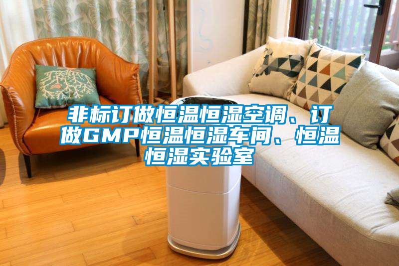 非标订做恒温恒湿空调、订做GMP恒温恒湿车间、恒温恒湿实验室