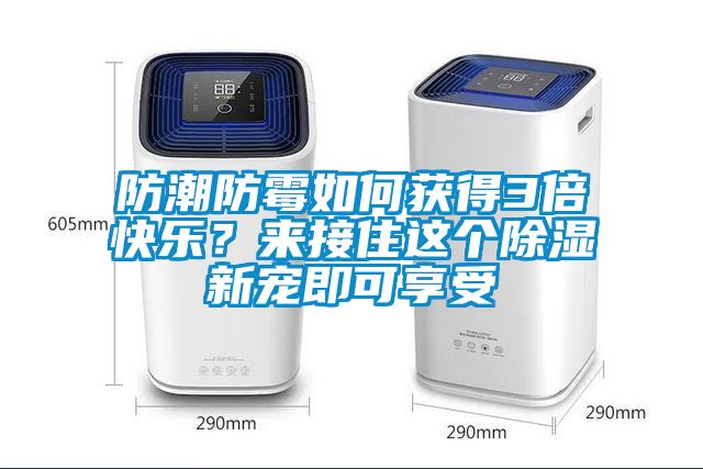 防潮防霉如何获得3倍快乐？来接住这个除湿新宠即可享受