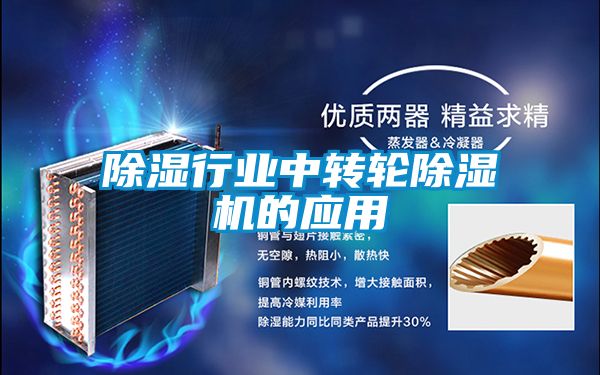 除湿行业中转轮91抖音免费看片的应用