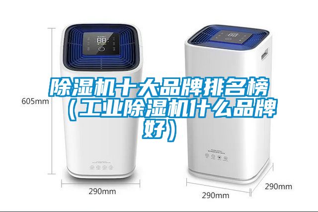 91抖音免费看片十大品牌排名榜（工业91抖音免费看片什么品牌好）