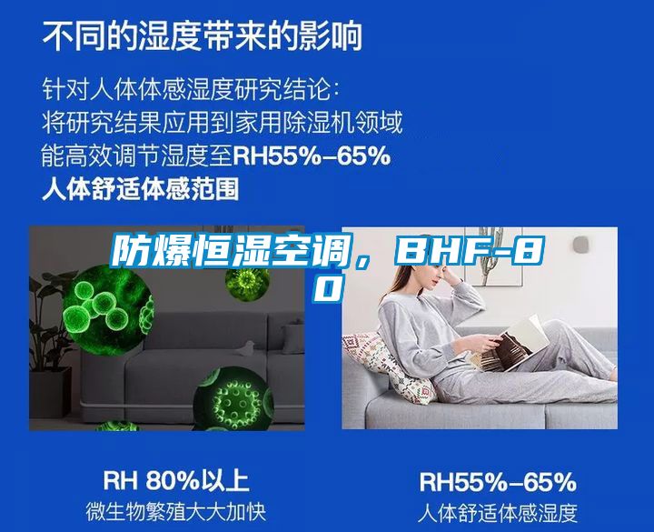 防爆恒湿空调，BHF-80