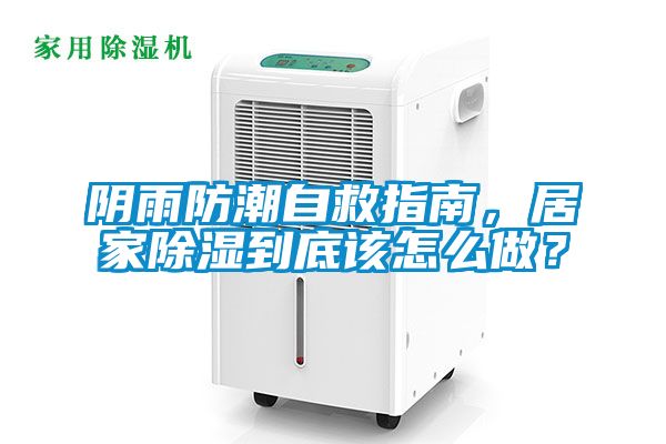 阴雨防潮自救指南，居家除湿到底该怎么做？