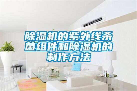 91抖音免费看片的紫外线杀菌组件和91抖音免费看片的制作方法
