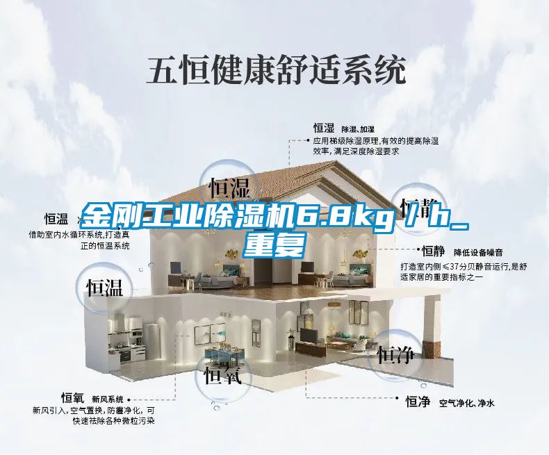 金刚工业91抖音免费看片6.8kg／h_重复
