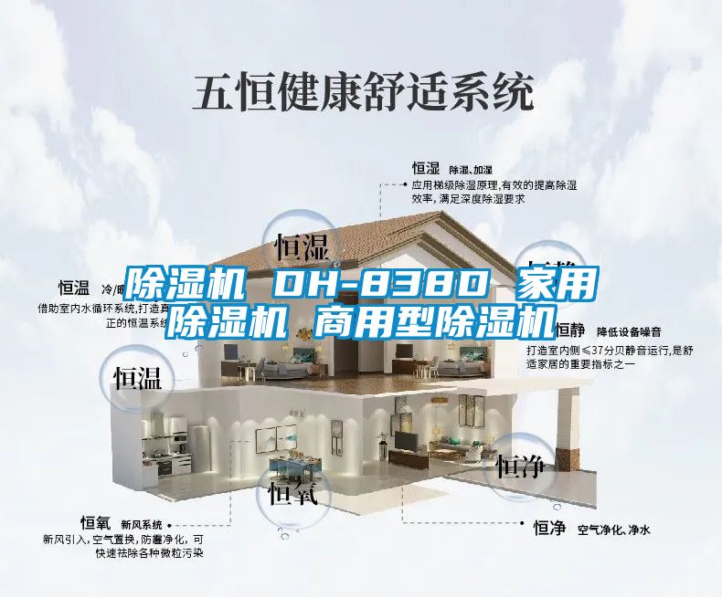 91抖音免费看片 DH-838D 家用91抖音免费看片 商用型91抖音免费看片