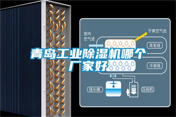 青岛工业91抖音免费看片哪个厂家好