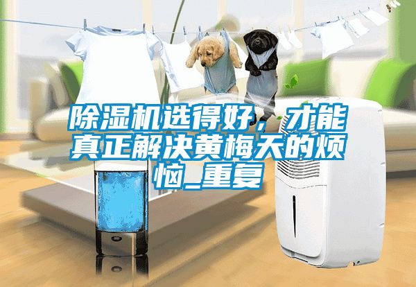 91抖音免费看片选得好，才能真正解决黄梅天的烦恼_重复