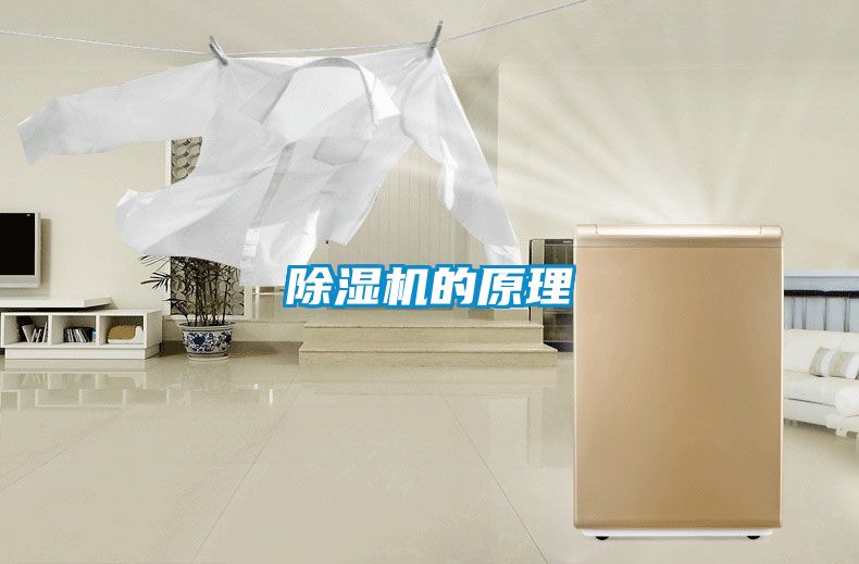 91抖音免费看片的原理